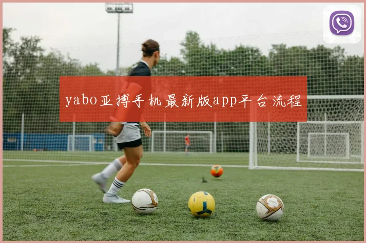 yabo亚搏手机最新版app平台流程