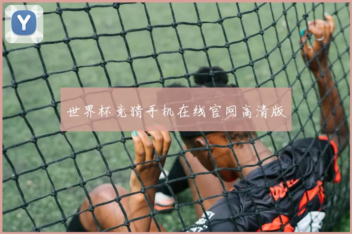 世界杯竞猜手机在线官网高清版
