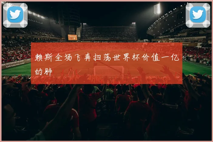 赖斯全场飞奔扫荡世界杯价值一亿的肺