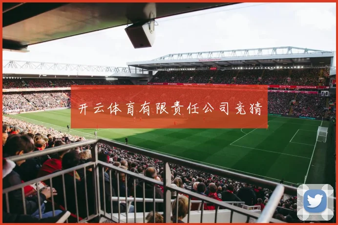 开云体育有限责任公司竞猜