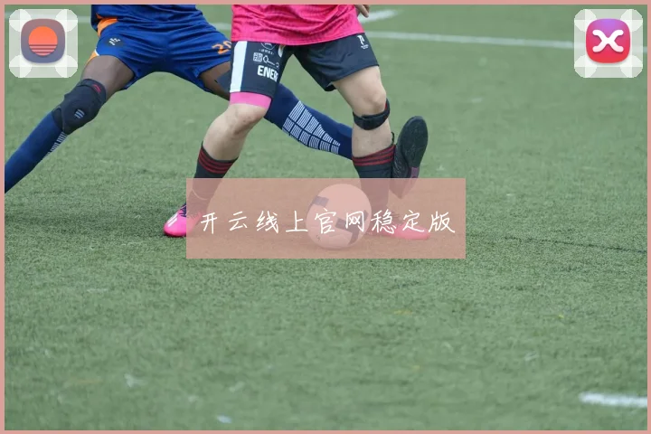 开云线上官网稳定版