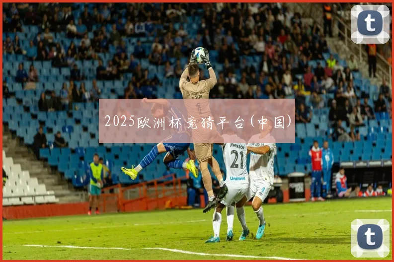 2025欧洲杯竞猜平台(中国)