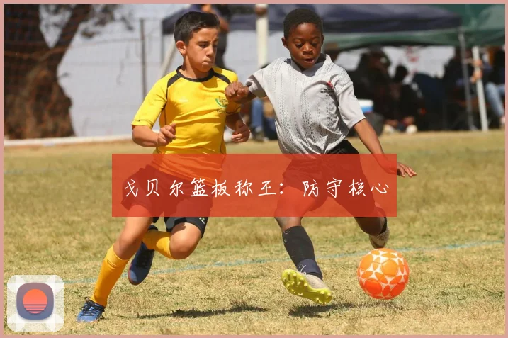 戈贝尔篮板称王：防守核心