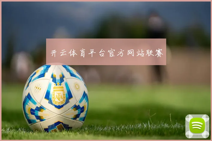 开云体育平台官方网站联赛