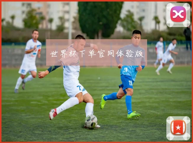 世界杯下单官网体验版
