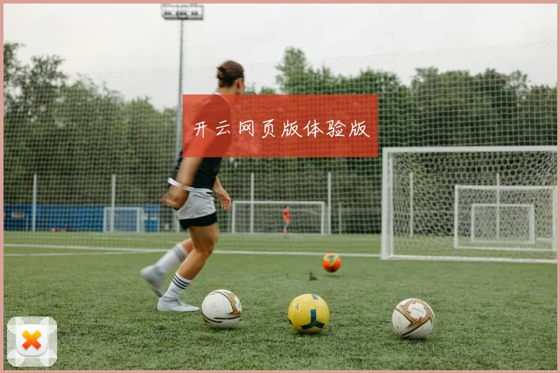 开云网页版体验版