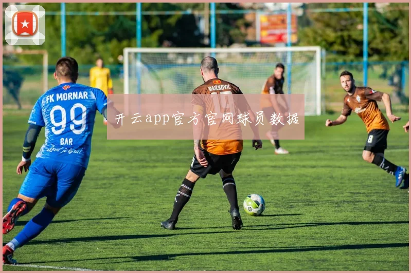 开云app官方官网球员数据