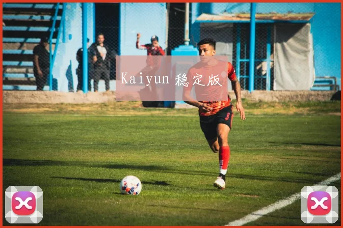 Kaiyun 稳定版