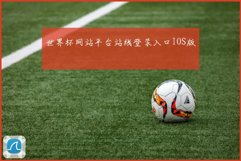 世界杯网站平台站线登录入口IOS版