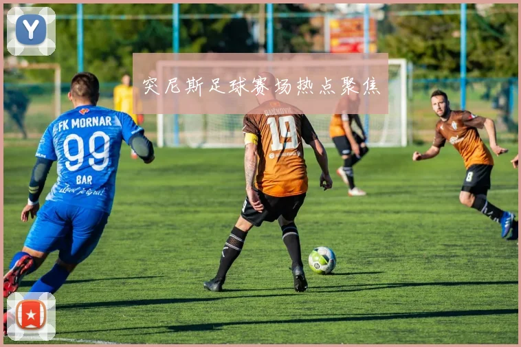 突尼斯足球赛场热点聚焦