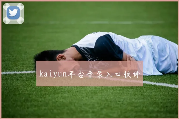 kaiyun平台登录入口软件