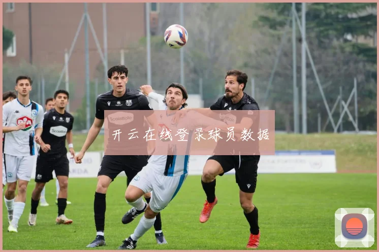 开云在线登录球员数据