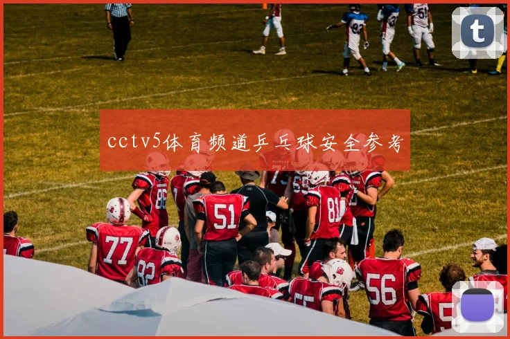 cctv5体育频道乒乓球安全参考