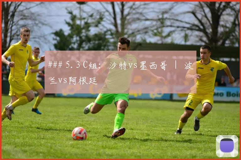 ### 5.3 C组：沙特vs墨西哥 ｜ 波兰vs阿根廷