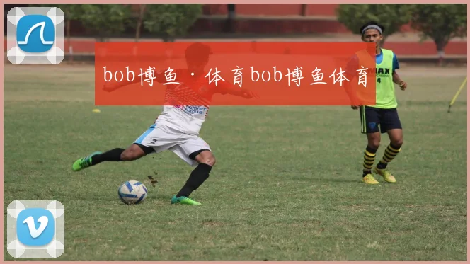 bob博鱼·体育bob博鱼体育