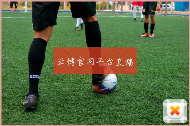 云博官网平台直播