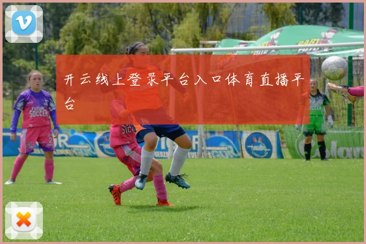 开云线上登录平台入口体育直播平台