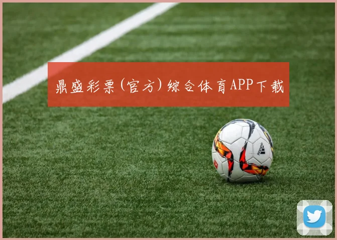 鼎盛彩票(官方)综合体育APP下载