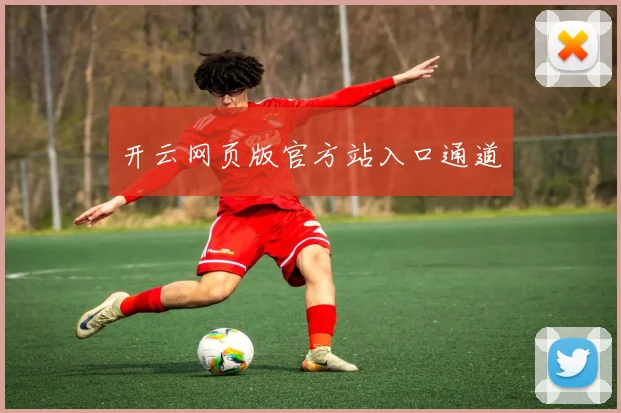 开云网页版官方站入口通道