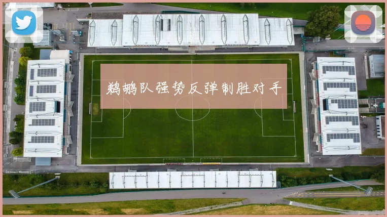 鹈鹕队强势反弹制胜对手
