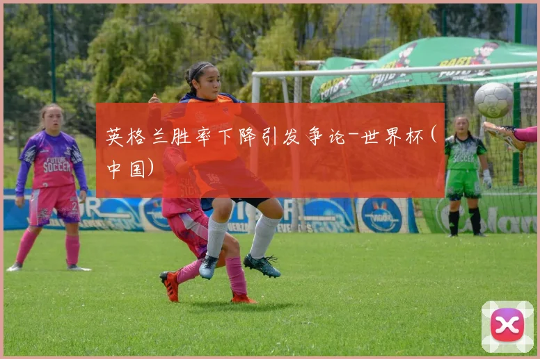 英格兰胜率下降引发争论-世界杯(中国)