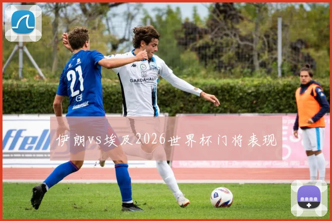 伊朗vs埃及2026世界杯门将表现