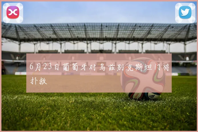 6月23日葡萄牙对乌兹别克斯坦门将扑救