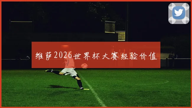 维萨2026世界杯大赛经验价值