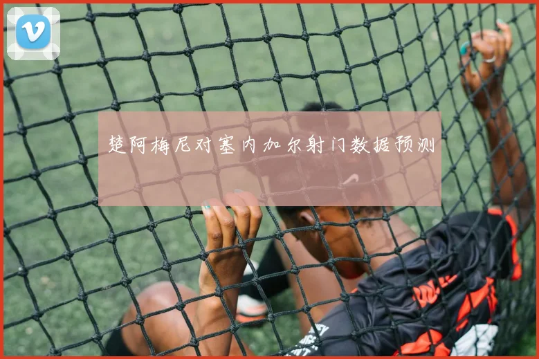 楚阿梅尼对塞内加尔射门数据预测