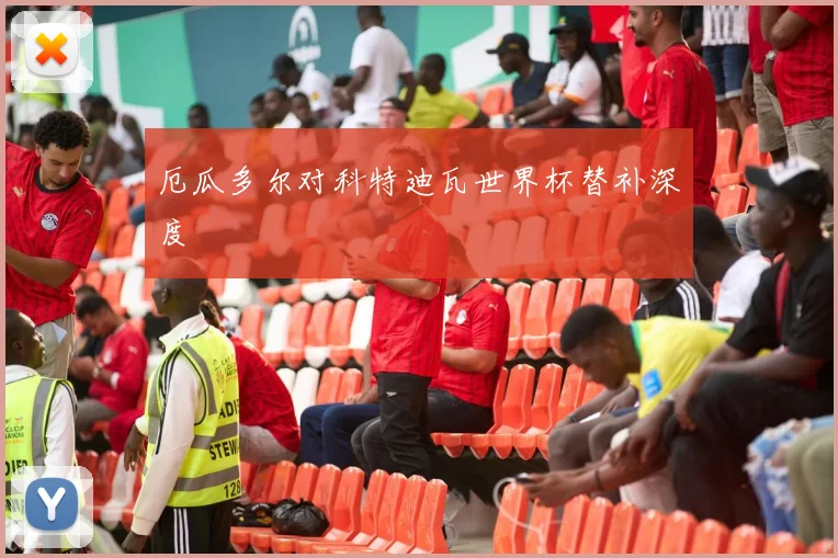 厄瓜多尔对科特迪瓦世界杯替补深度