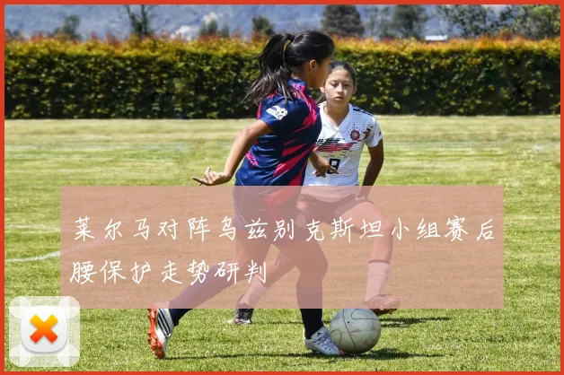 莱尔马对阵乌兹别克斯坦小组赛后腰保护走势研判