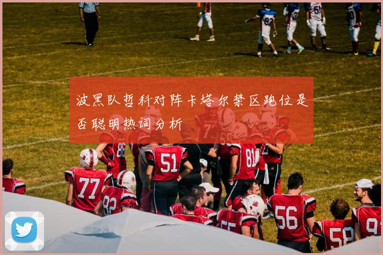 波黑队哲科对阵卡塔尔禁区跑位是否聪明热词分析