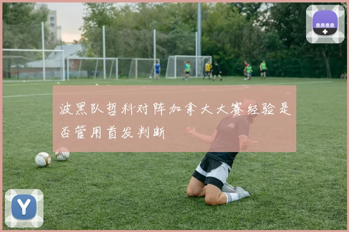 波黑队哲科对阵加拿大大赛经验是否管用首发判断