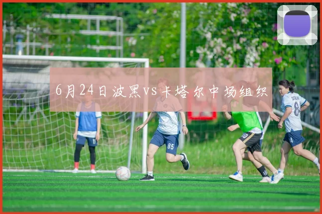 6月24日波黑vs卡塔尔中场组织