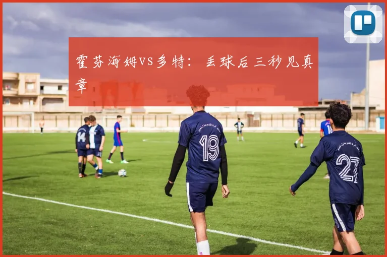 霍芬海姆vs多特：丢球后三秒见真章
